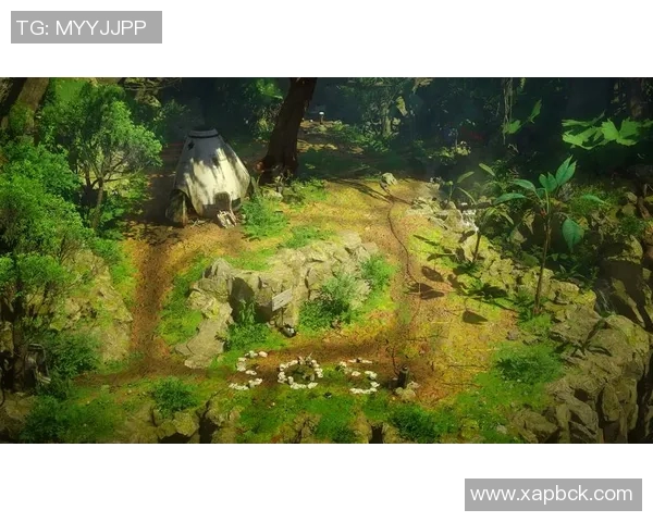 探索罗宾逊真人照片背后的故事与历史魅力，揭开神秘面纱的旅程